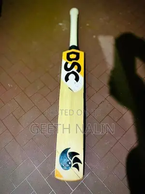 DSC Cricket Bat