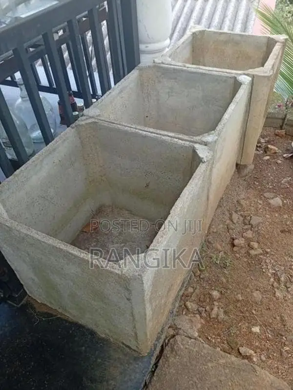 fish tank