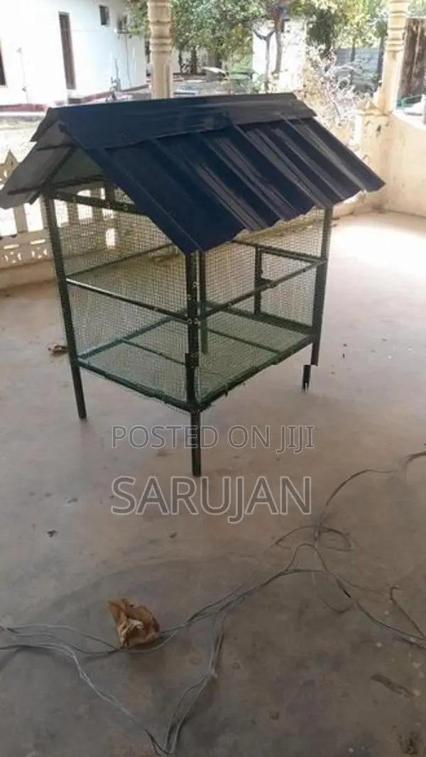 Birds Cage