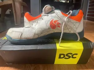 DSC Cricket Shoe