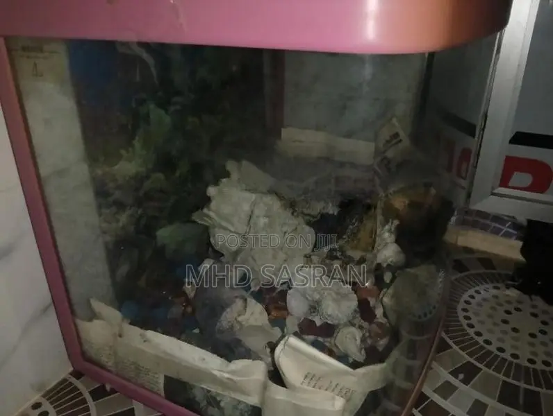 Fish Tank
