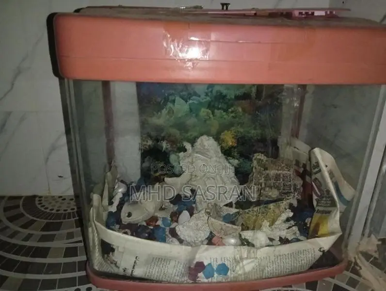 Fish Tank