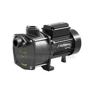 Silver Sky100 Ex - Water Pump 1" 1 Hp