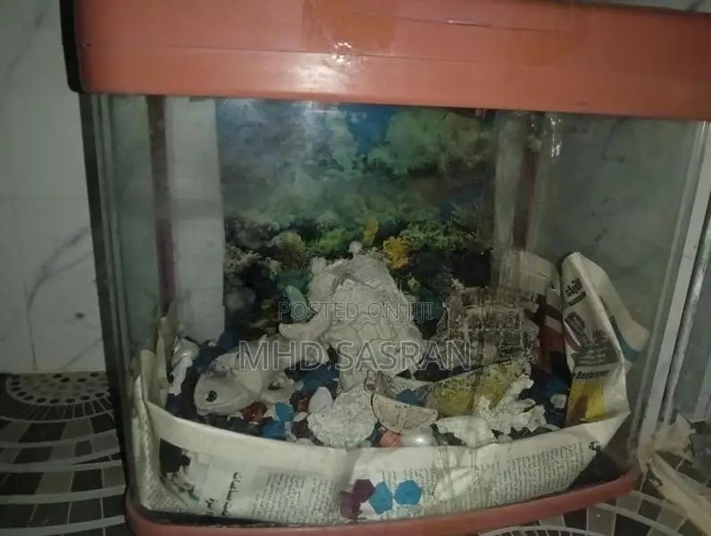 Fishing Tank