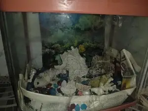Fishing Tank