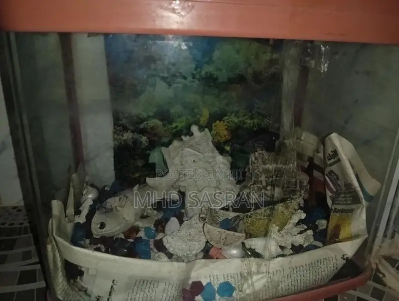 Fishing Tank