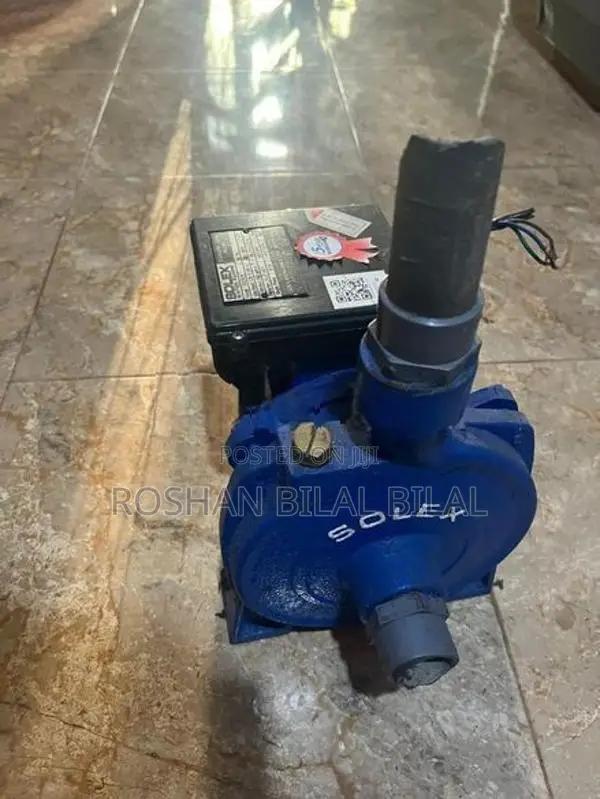 Bolex Motor