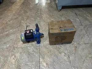 Bolex Motor