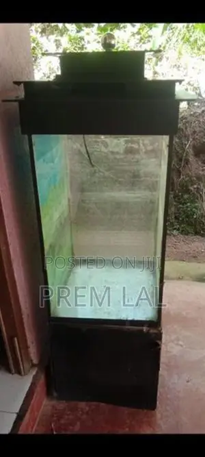 Fish Tank