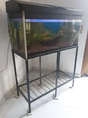 Fish Tank