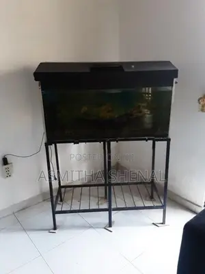 Fish Tank
