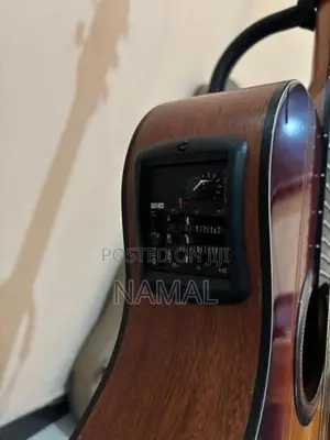Yamaha APX 3a