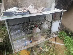 Kurulu Kooduwa