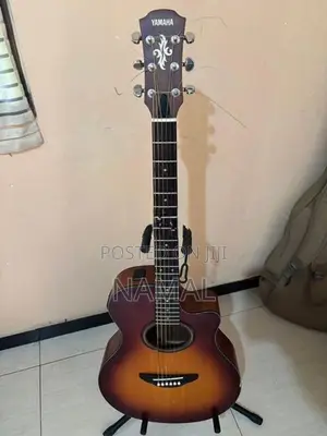 Yamaha APX 3a