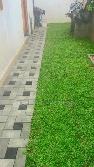 Malaysian Quality Grass
