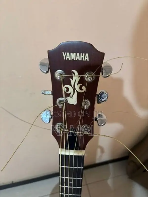 Yamaha APX 3a