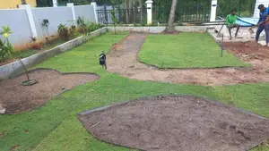 Australian Grass