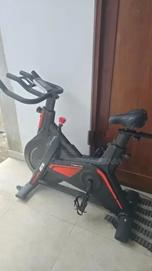 BH Tokyo H9181 Indoor Exercise Bike
