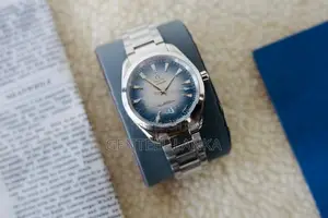 Omega Seamaster Aqua Terra Watch