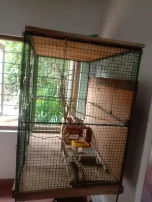 Large Bird Cage