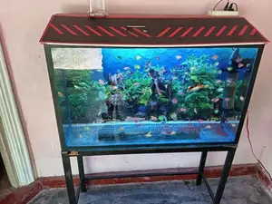 fish tank