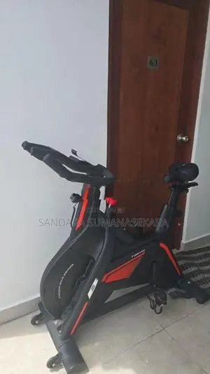 BH Tokyo H9181 Indoor Exercise Bike