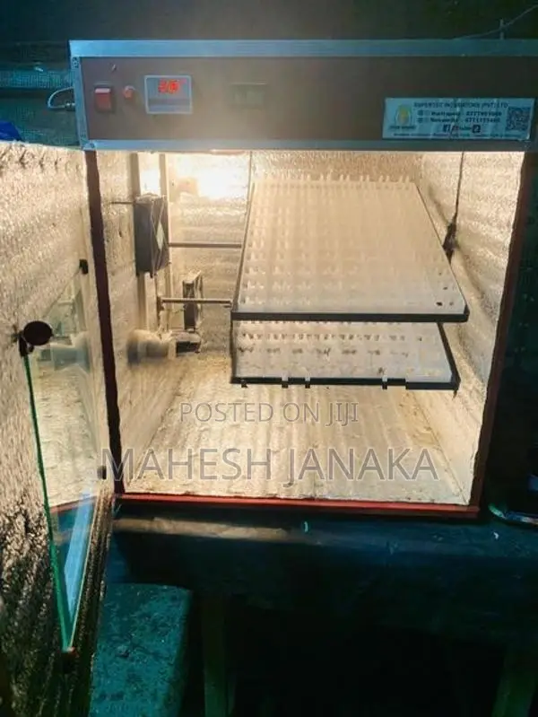 බිත්තර රක්කවන මැශිම