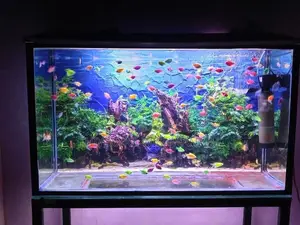 fish tank