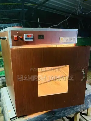 බිත්තර රක්කවන මැශිම