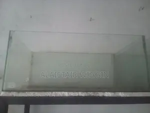 Fish Tank