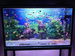 fish tank