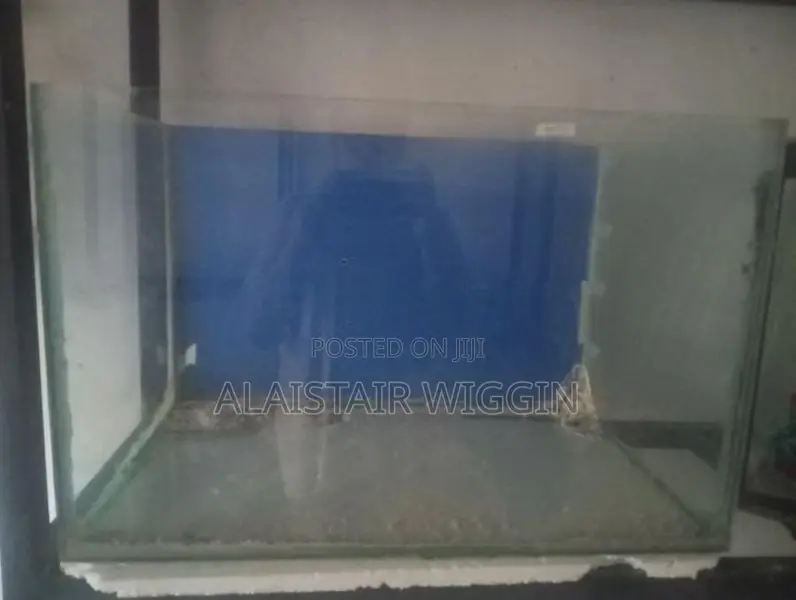 Fish Tank