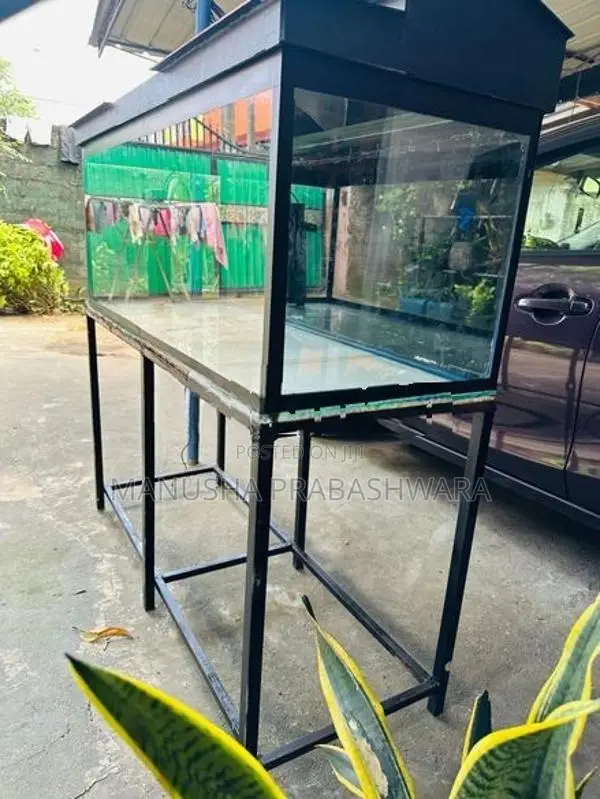 4 Feet Fish Tank
