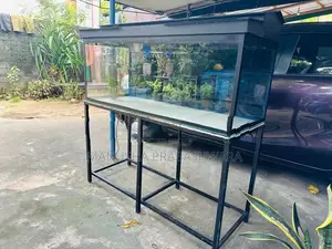 4 Feet Fish Tank