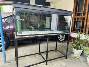 4 Feet Fish Tank