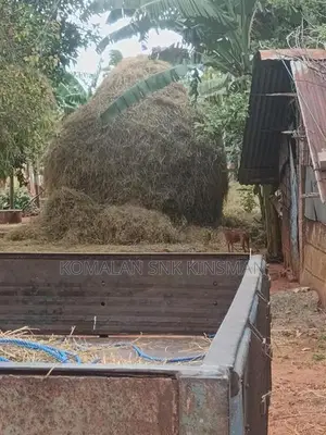 Vaikkal