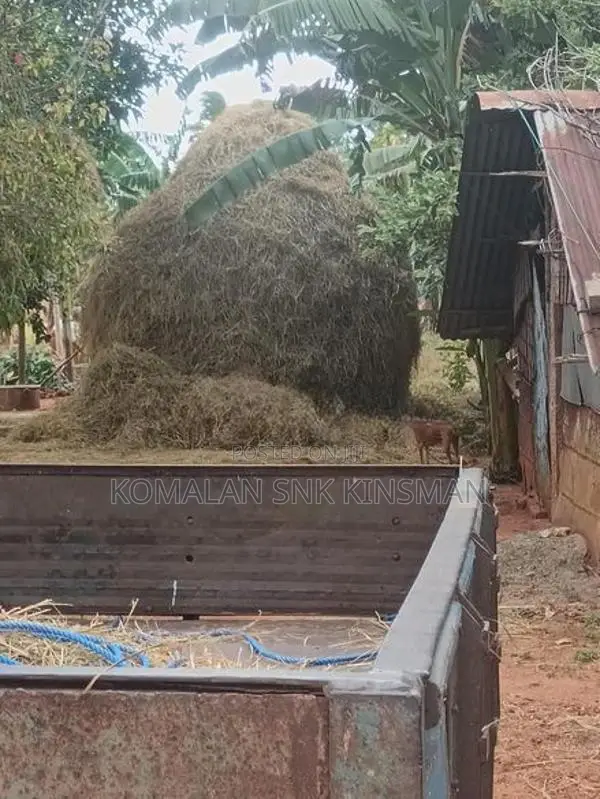 Vaikkal