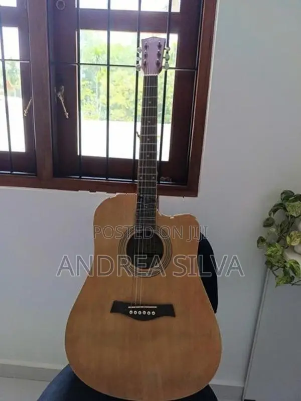 Guitar