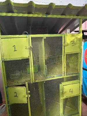 Birds Cage