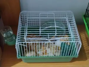 Hamster Cage