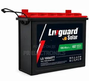 Livguard LS10060TT 100Ah Solar Tubular Deep Cycle Battery – 12V