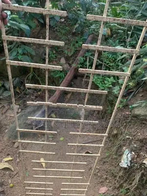 4 Feet ග්‍රීල්