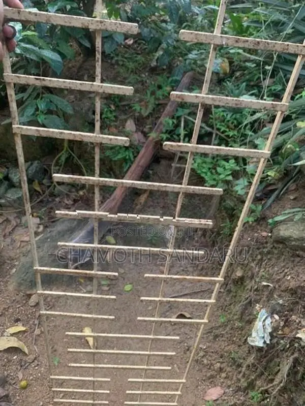 4 Feet ග්‍රීල්