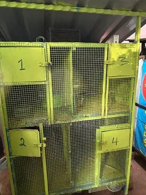 Birds Cage