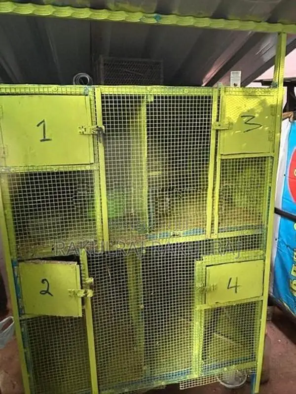 Birds Cage
