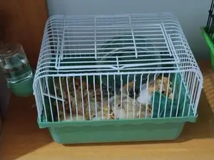 Hamster Cage
