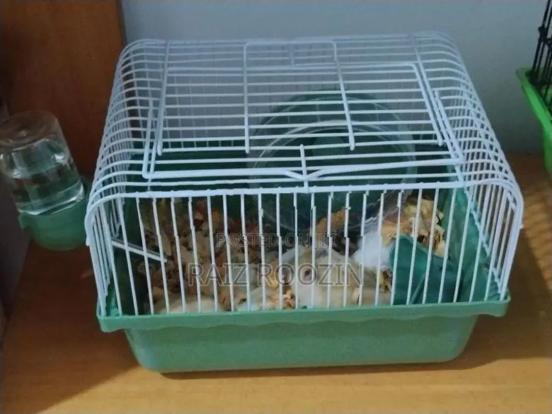 Hamster Cage