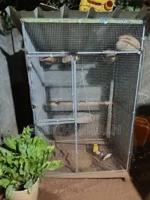 Cage for Birds