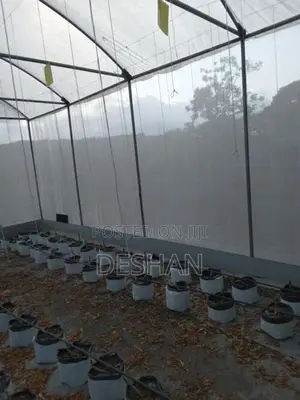 net house