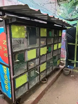 Bird Cage